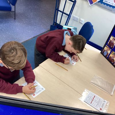 School Council Elections